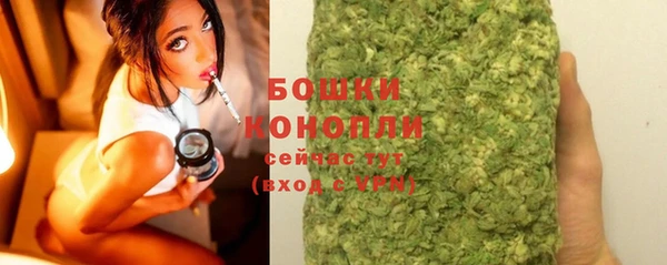 тгк Бронницы