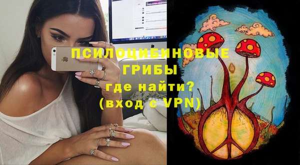 спайс Бородино