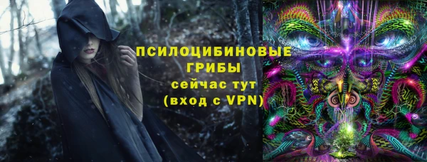 спайс Бородино