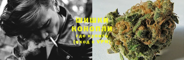 спайс Бородино