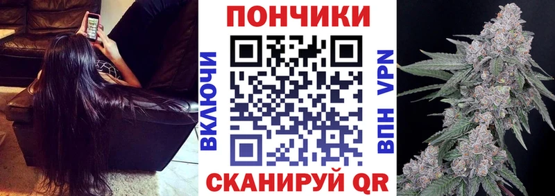 Купить закладки  Волоколамск  Бошки марихуана семена 